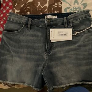 Carve Design woman’s sz 12 Jean shorts NWT
